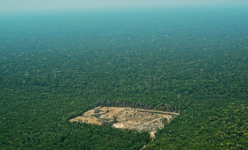 Imagem aérea do desmatamento na Floresta Amazônica, em 22 de setembro de 2017