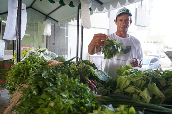Produções agrícolas da região são conhecidas por serem livres de venenos