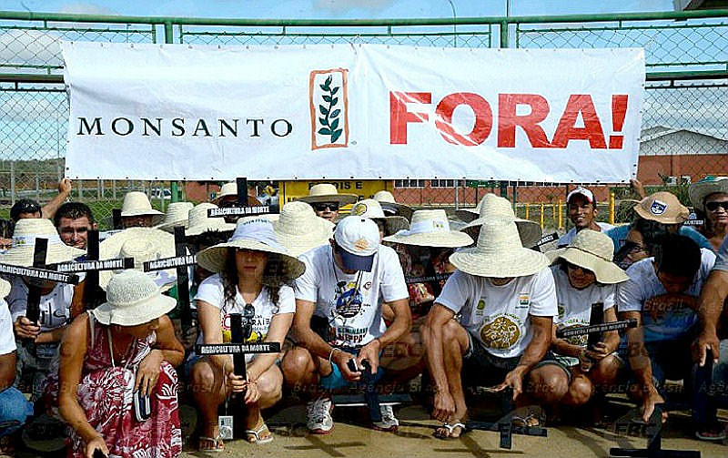 Primeira medida da Bayer ao comprar a Monsanto foi anunciar o fim do nome da empresa por conta de sua má fama