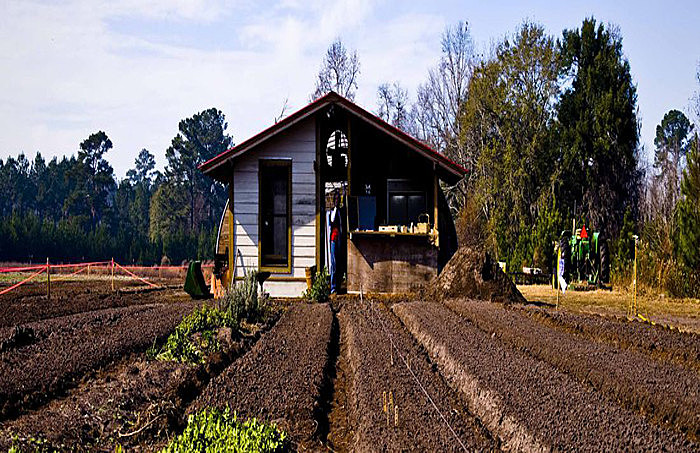 Rio Grande do Sul apresenta o maior número de casos de suicídios no país: 10 a cada 100 mil habitantes – o dobro da média nacional