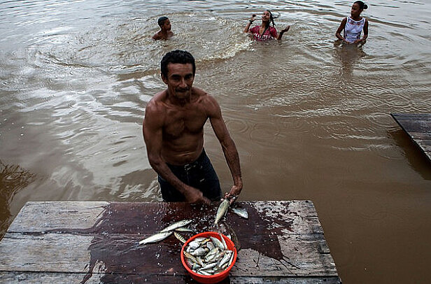 A pesquisa verificou que o consumo de peixe é um dos fatores que está relacionado ao aumento dos níveis de mercúrio no sangue das pessoas