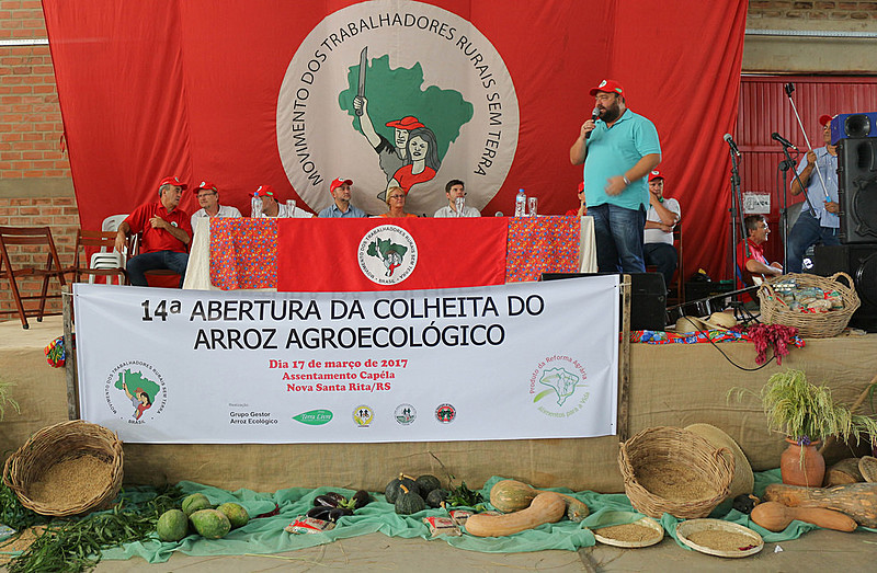 A estimativa para este ano é colher mais de 27 mil toneladas de arroz