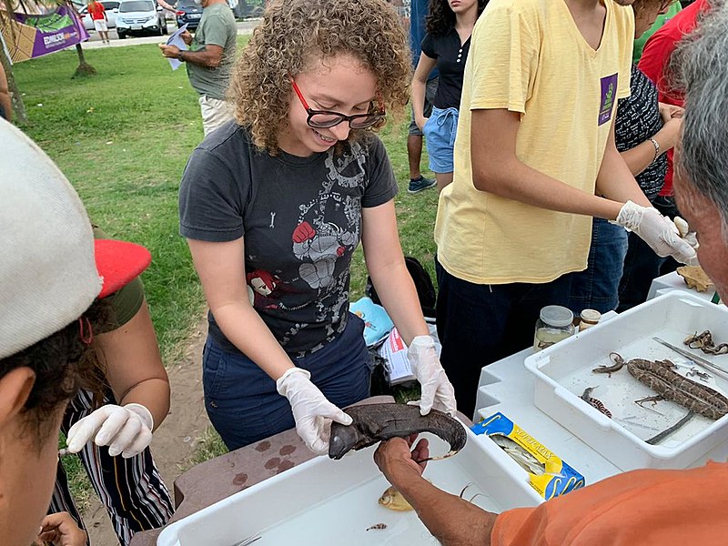 Naraiana Benone, pós-doutoranda do museu Emílio Goeldi, mostra um sarapó, tipo de peixe elétrico só encontrado na Amazônia