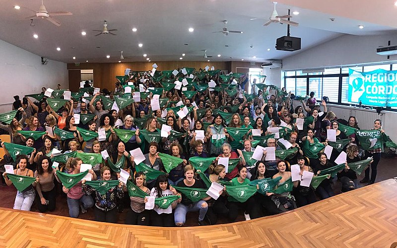 Integrantes da Campanha Nacional pelo Aborto Legal durante plenária que aprovou a nova versão do projeto