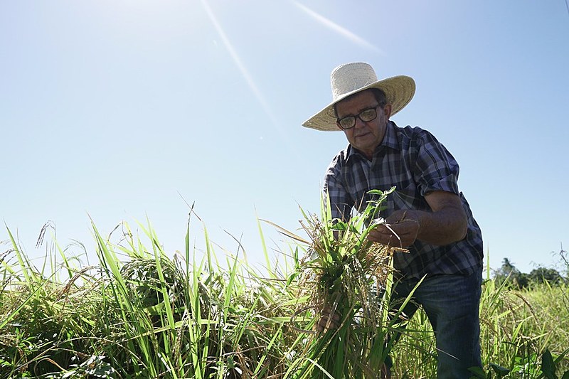 Programa de Regularização Fundiária Rural faz parte da proposta de implementação da política de regulação fundiária do Estado do RN