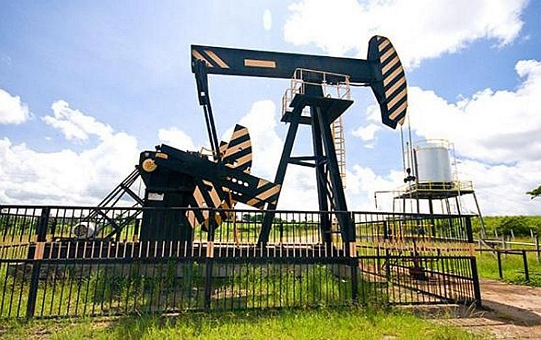 Campos terrestres programados para concessão são responsáveis por 35 mil barris por dia ou 2% da produção