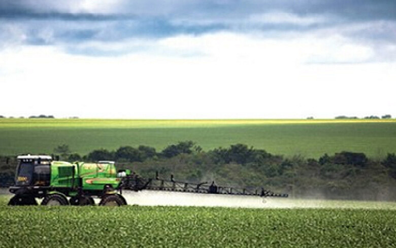 As sementes transgênicas, que dependem de fertilizantes e agrotóxicos, contaminam lavouras convencionais