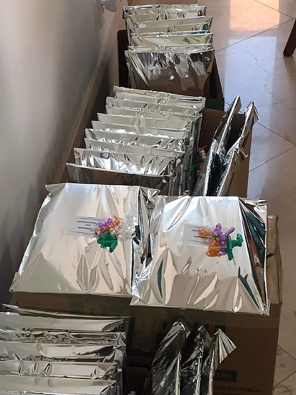 O Kit que será enviado a partir da próxima semana para três grupos diferentes de senadores: os golpistas assumidos, os que ainda estão em cima do muro e os defensores da democracia.
