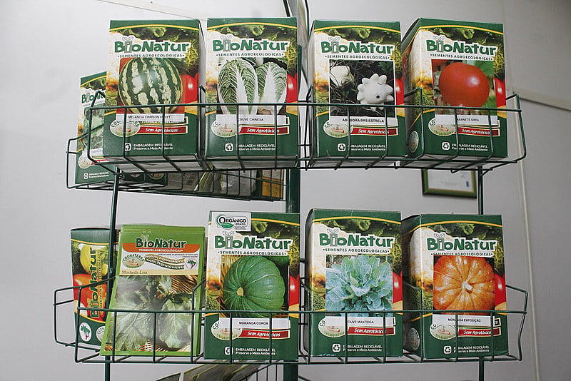 A experiência com a produção de alimentos não modificados geneticamente e sem veneno começou em 1997, em Candiota (RS)