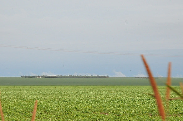 Para transformar tierras devueltas en haciendas, el proceso más común es mediante la obtención de títulos de propiedad falsos