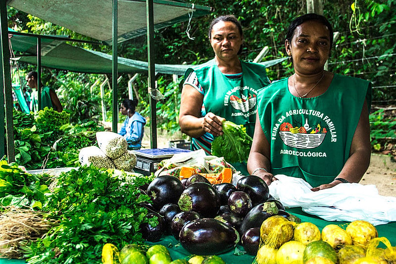 Na Paraíba existem cerca de cinquenta (50) feiras agroecológicas organizadas por assentados da reforma agrária e pequenos agricultores.