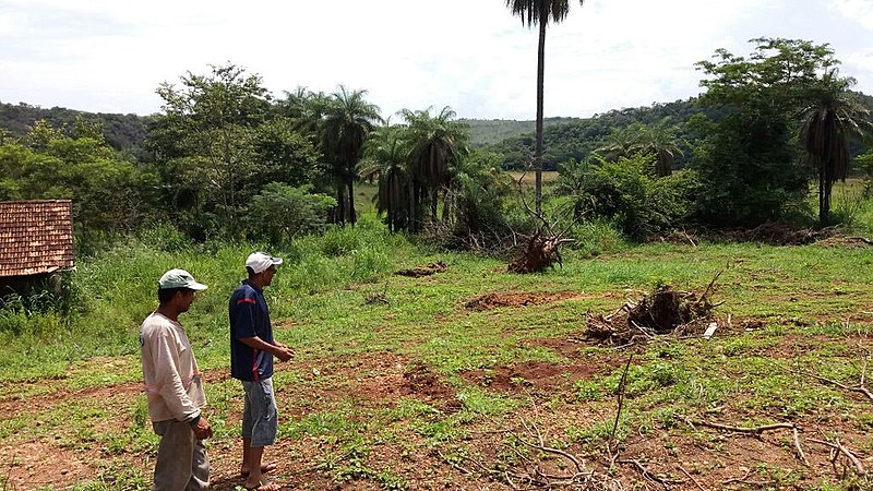 A área de 333,3 hectares era inviabilizada pela ganância dos antigos proprietários