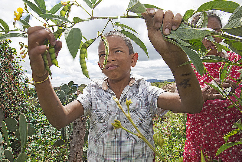 Um dos maiores desafios no atual contexto político é garantir as condições para que os agricultores e agricultoras possam produzir