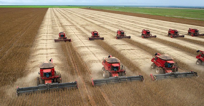 Colheitadeira em plantação de soja