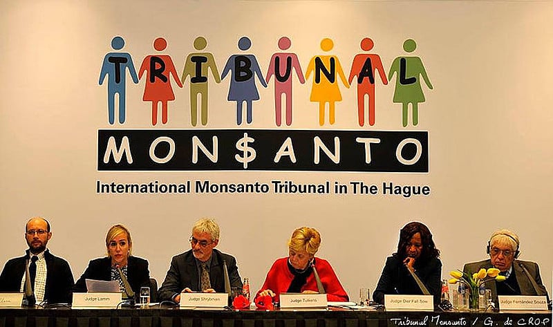 La conducta de Monsanto ha afectado negativamente el derecho a la alimentación.