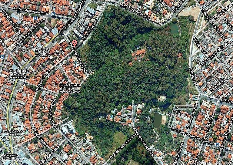 Área é bioma de Mata Atlântica e tem mais de 20 nascentes