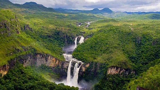O Parque Nacional Pau Brasil, em Porto Seguro, sul da Bahia