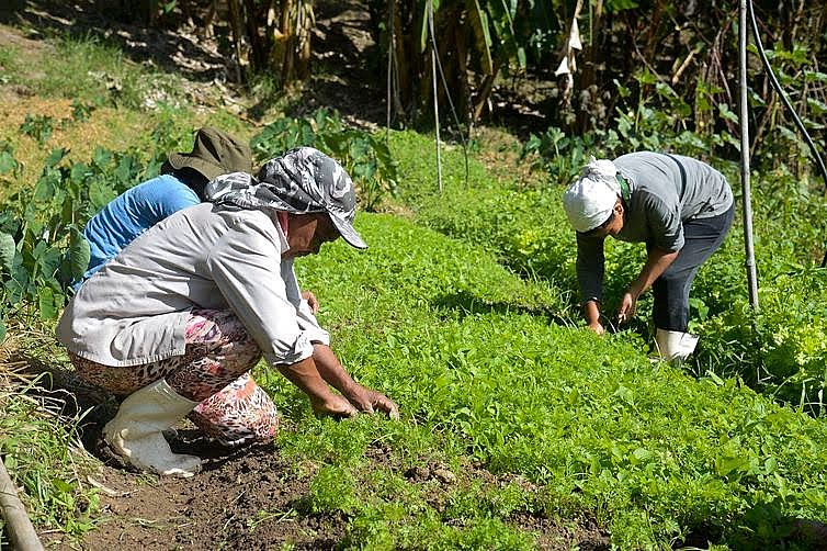 Proposta é discutir com agricultores, quilombolas, indígenas e populações ribeirinhas