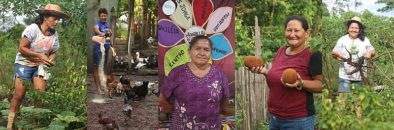 Da esquerda para a direita, as agricultoras Sandra, Lindalva, Irlanda, Mazé e Selma