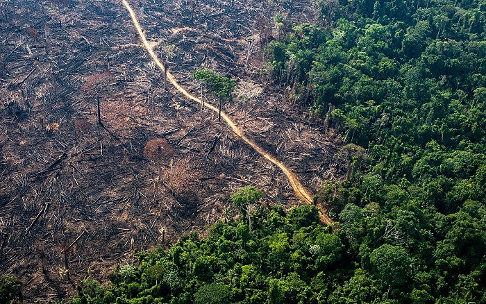 O MPF identificou 2,3 mil réus ligados a desmatamentos ilegais em área igual ou superior a 60 hectares na Amazônia