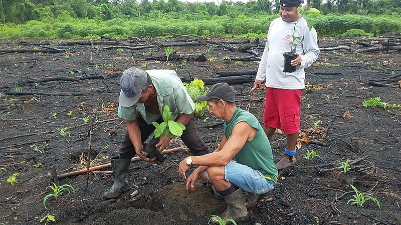 A caravana no Pará é um preparatório ao IV Encontro Nacional de Agroecologia que será em Belo Horizonte nos dias  31 de maio a 3 de junho