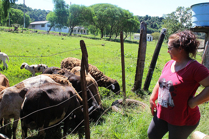 Há mais de 20 anos, onze famílias do Movimento dos Trabalhadores Rurais Sem Terra (MST) formam o pré-assentamento Jangadinha