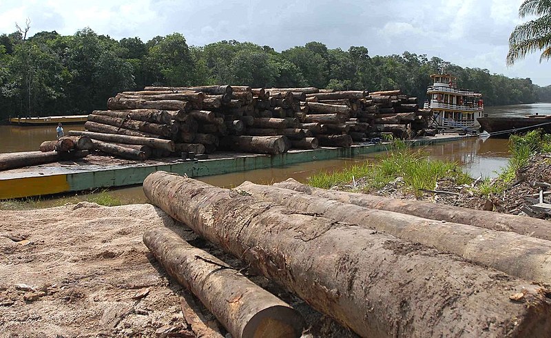 Projetos que estão sendo defendidos pelo governo golpista de Michel Temer (PMDB), para a agricultora, vão ameaçar ainda mais o meio ambiente