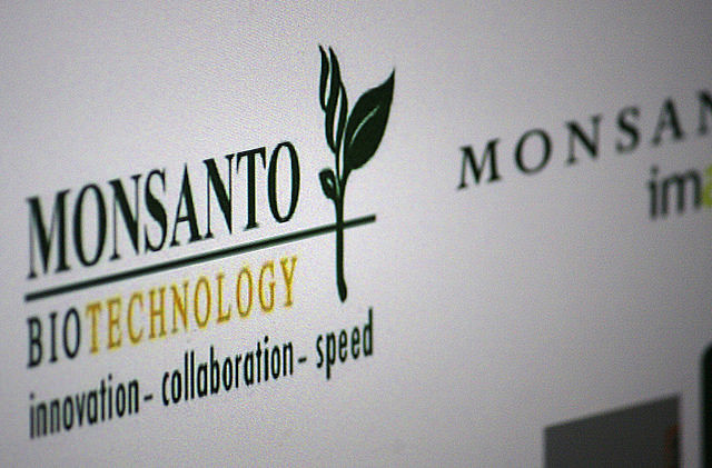 Com a venda de sementes de hortaliças, a Monsanto faturou US$ 816 milhões em 2015