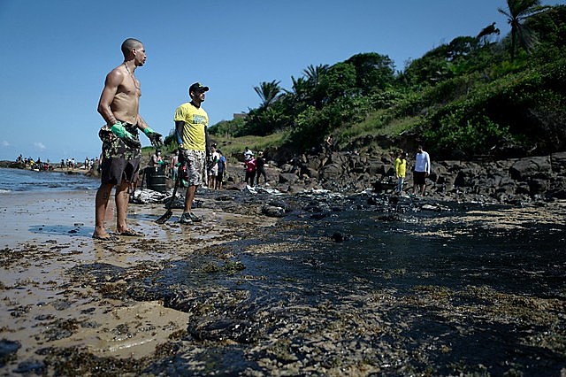 Volunteers clean beaches in Pernambuco, Northeast Brazil