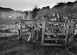 " O rompimento das porteiras que inaugurou a ocupação da fazenda foi fotografado por Sebastião Salgado e preencheria a imagem icônica do dia em que facões soerguidos por trabalhadores sem terra mudaram a história de Rio Bonito do Iguaçu e do Brasil. "