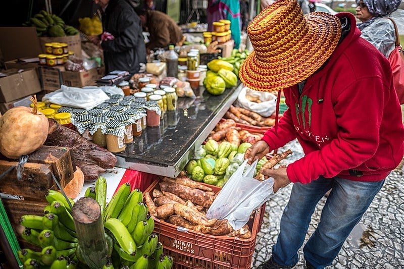 Agroecologia é uma ciência multidisciplinar que leva em consideração as questões ecológicas de cada ecossistema