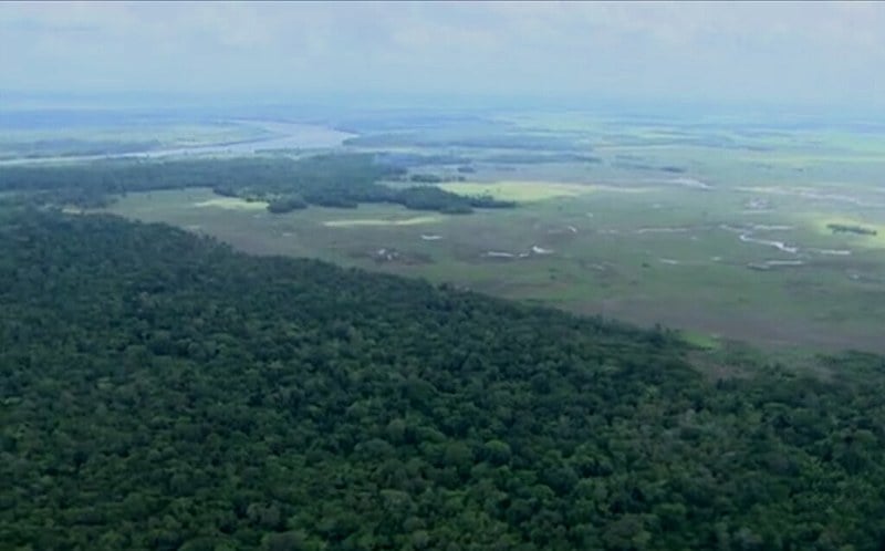 A reserva abriga nove áreas de preservação florestal entre unidades de conservação, parques e duas terras indígenas