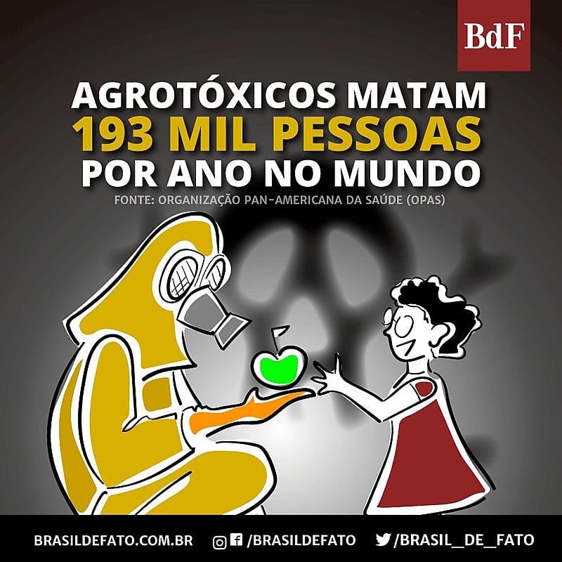 Opas denuncia que agrotóxico mata mais de 190 mil pessoas no mundo