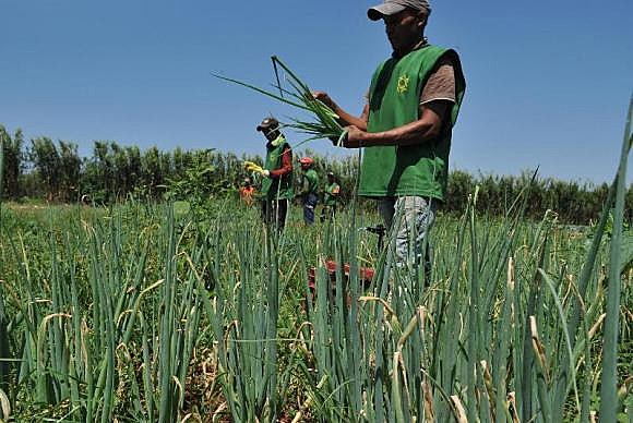 “Os dados não são conhecimento. São apenas outra mercadoria destinada a tornar o agricultor ainda mais dependente”