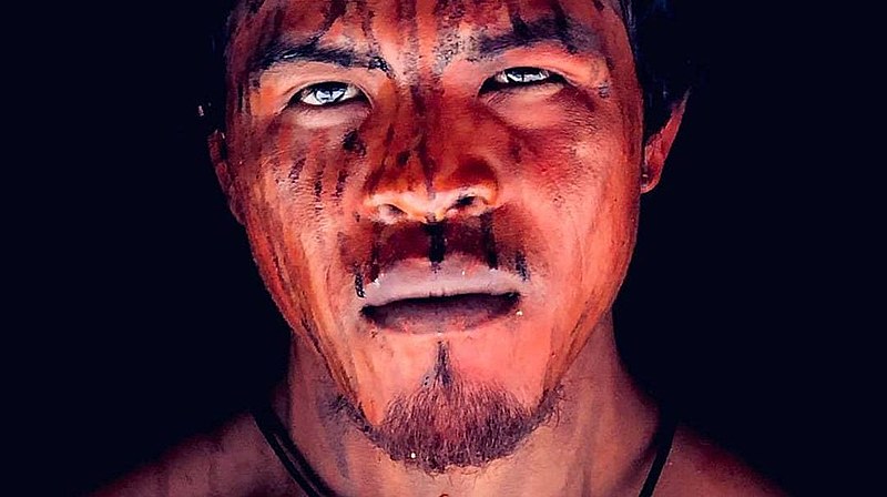 Paulino morava na Terra Indígena Arariboia, território ameaçado por uma série de ações ilegais, sobretudo, a extração madeireira