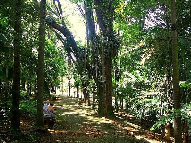 Parques são reabertos em São Paulo