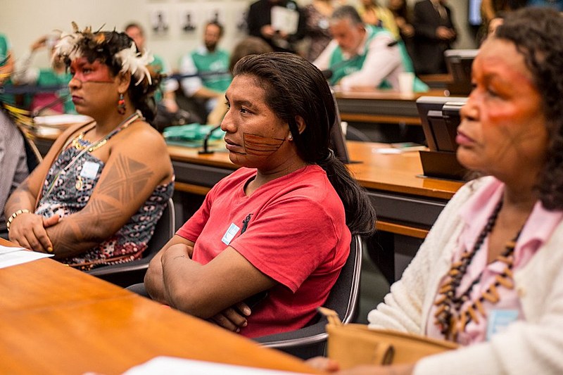 Entre os 17 povos que compõem a delegação em Brasília estão os Karipuna, que têm sofrido com constantes invasões em seu território
