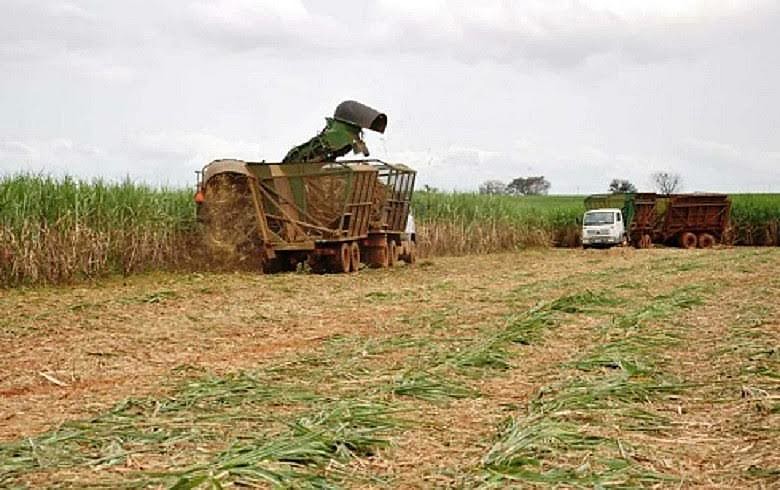 Agrotóxicos usados na monocultura da cana em SP elevam índices de adoecimento entre os agricultores e toda a população