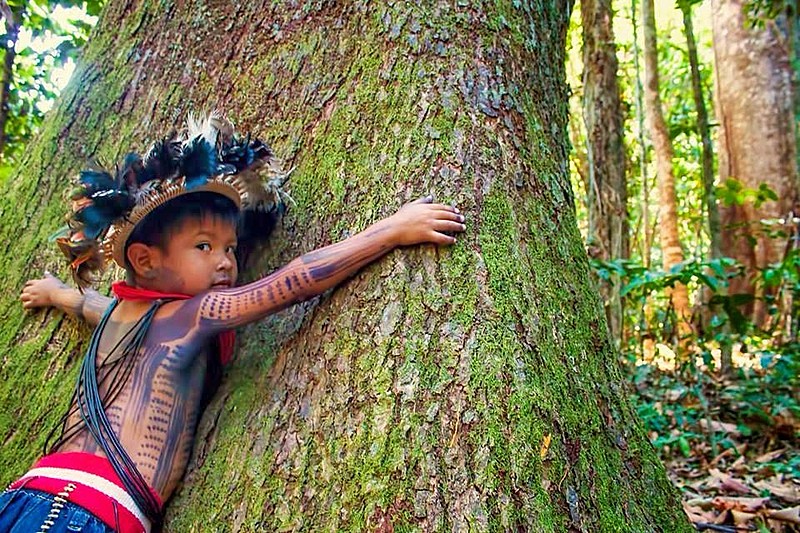 Para os povos indígenas, a chamada mãe terra é fonte de vida, espaço religioso e de convivência