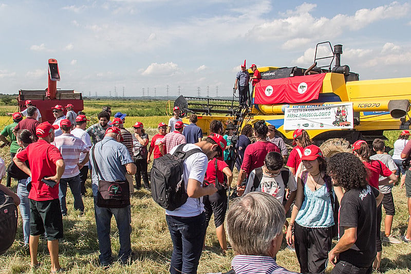 Este ano, o MST do Rio Grande do Sul se tornou o maior produtor de arroz orgânico das Américas