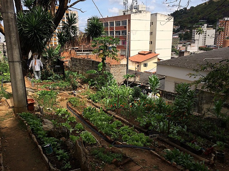Horta Quintal na Cidade, centro de Vitória, capital do Espírito Santo