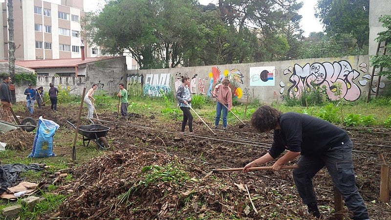 No dia 21 de maio organizadores da horta comunitária no bairro Bom Retiro receberam notificação da Prefeitura de Curitiba