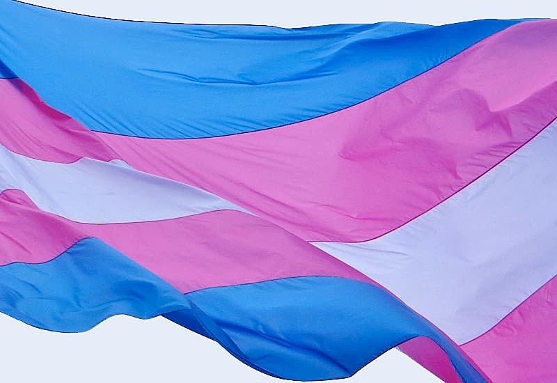 De acordo com o levantamento realizado pela ONG Transgender Europe, entre 2008 e 2016 foram assassinadas 868 pessoas trans no Brasil.
