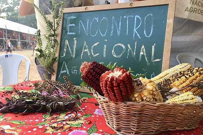 IV Encontro Nacional de Agroecologia (ENA) será em BH, capital de Minas Gerais