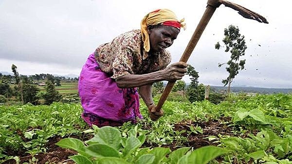Este é o resultado de um processo de quase duas décadas de consultas e negociações realizadas pelos membros da Via Campesina