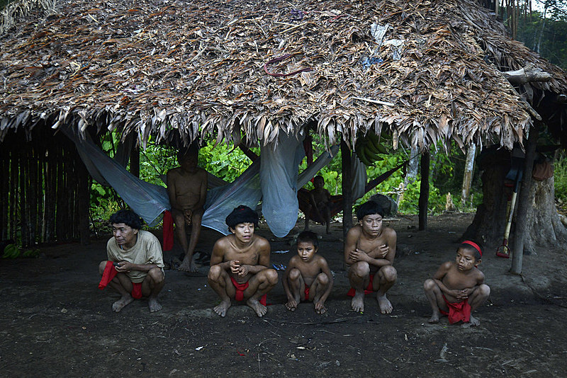 Das 255 aldeias Yanomami, 197 estão localizadas no noroeste de Roraima.