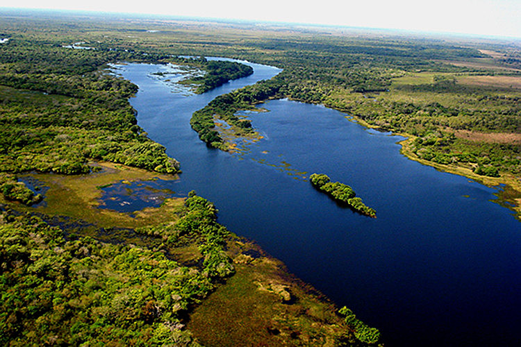 Áreas estaduais de proteção florestal estão na mira da bancada ruralista