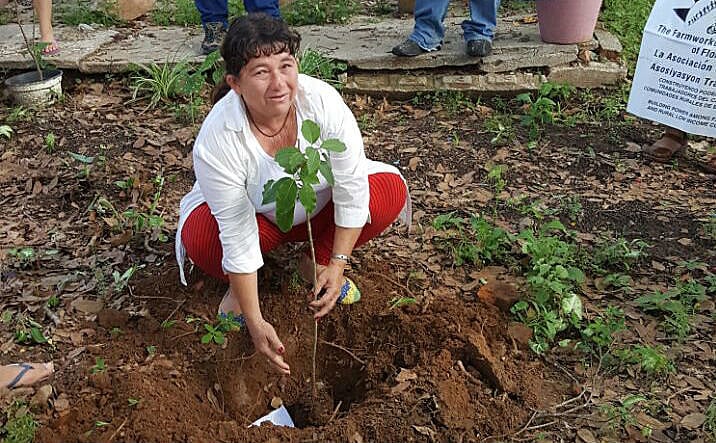 A paraguaia Petrona Talavera perdeu um filho e teve toda sua família contaminada pelos agrotóxicos