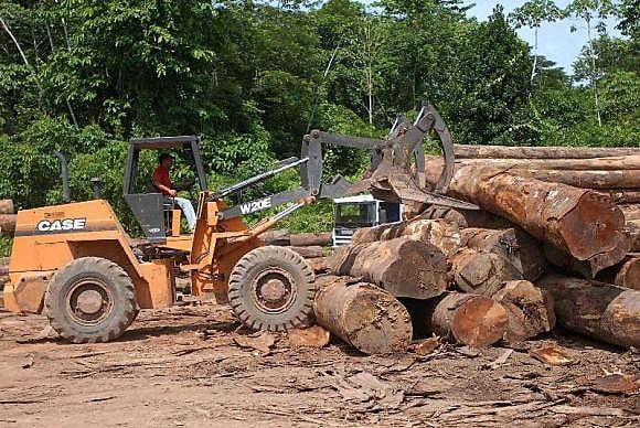 Entre agosto de 2015 e julho 2016 houve aumento de 29% do desmatamento na região amazônica