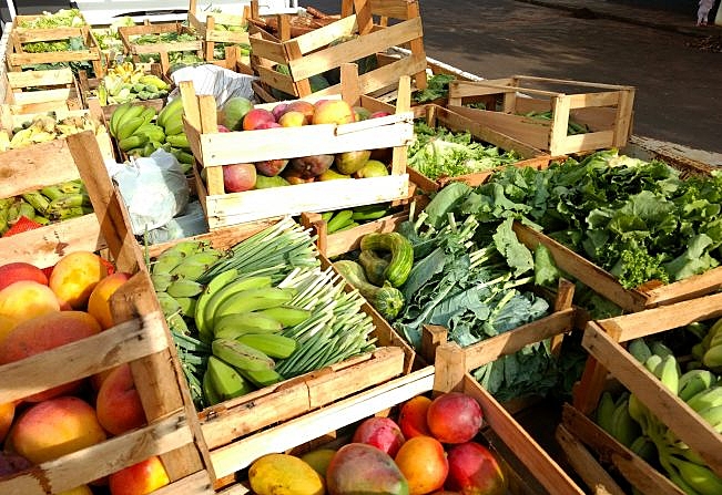 frutas e hortaliças